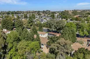 308 Mill Rd, Martinez, CA 94553 - Photo 29
