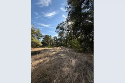 26000 East Lane Road, Covelo, CA 95428 - Photo 7