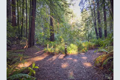 1101 River Beach Road, The Sea Ranch, CA 95497 - Photo 33