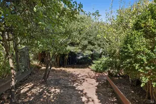 134 Filbert Ave, Sausalito, CA 94965 - Photo 53