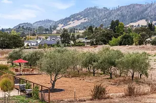 6295 Sonoma Hwy, Santa Rosa, CA 95409 - Photo 67