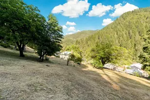131 Gold Bluff Rd, Downieville, CA 95936 - Photo 43