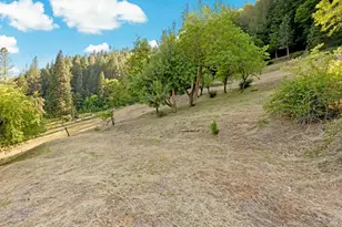 131 Gold Bluff Rd, Downieville, CA 95936 - Photo 45