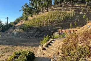 1910 Silverado Trail, Saint Helena, CA 94574 - Photo 1