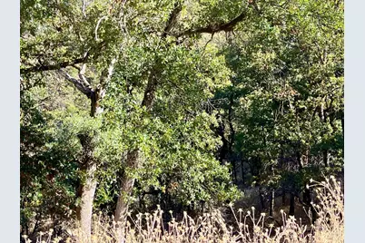 3100 Eel River Ranch Road, Covelo, CA 95428 - Photo 29