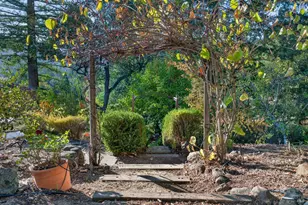 25 Elm Ave, Kentfield, CA 94904 - Photo 65