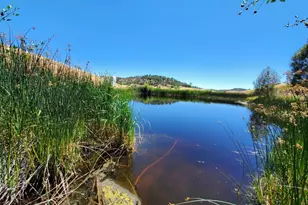 8770 Rocky Creek Rd, Lower Lake, CA 95457 - Photo 1