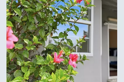 18153 Judy Street, Castro Valley, CA 94546 - Photo 47