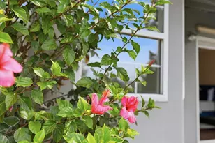 18153 Judy St, Castro Valley, CA 94546 - Photo 47