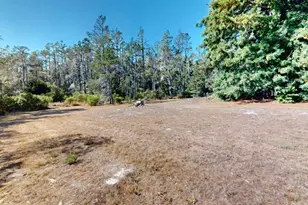 45942 Zettler Rd, Gualala, CA 95445 - Photo 5