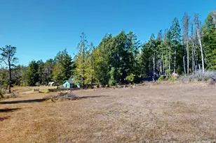 45942 Zettler Rd, Gualala, CA 95445 - Photo 3