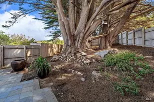 41600 Equinox, The Sea Ranch, CA 95497 - Photo 45