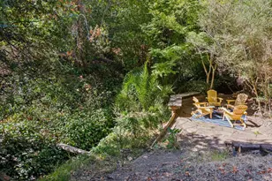 33 Brookdale Ave, San Rafael, CA 94901 - Photo 45
