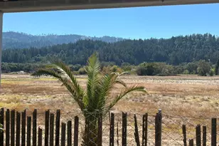 921 Champagne St, Calistoga, CA 94515 - Photo 21