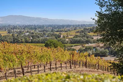 4133 Dry Creek Road, Napa, CA 94558 - Photo 47