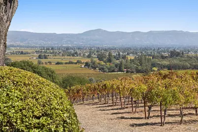 4133 Dry Creek Road, Napa, CA 94558 - Photo 29