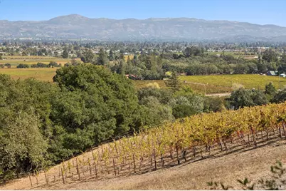 4133 Dry Creek Road, Napa, CA 94558 - Photo 59