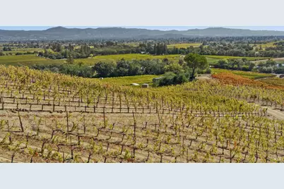 4133 Dry Creek Road, Napa, CA 94558 - Photo 55