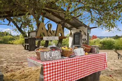 8341 Blackney Road, Sebastopol, CA 95472 - Photo 51