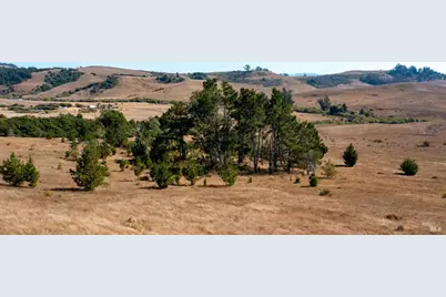 330 Valley Ford Freestone Road, Bodega, CA 94922 - Photo 21