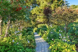 398 Ocean Pkwy, Bolinas, CA 94924 - Photo 15