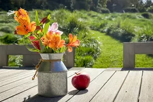 398 Ocean Pkwy, Bolinas, CA 94924 - Photo 27