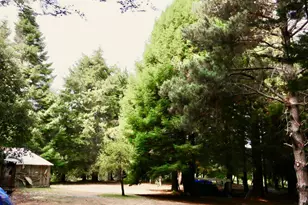 26800 N Hwy 1, Fort Bragg, CA 95437 - Photo 35