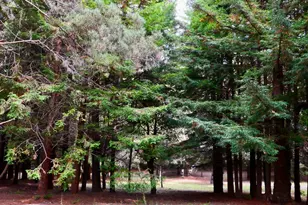 26800 N Hwy 1, Fort Bragg, CA 95437 - Photo 39