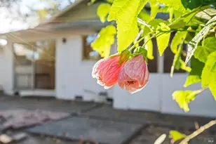 580 E Thomson Ave, Sonoma, CA 95476 - Photo 23