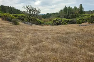 10681 Hearst Willits Rd, Willits, CA 95490 - Photo 33