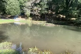 60731 Hwy 271, Leggett, CA 95585 - Photo 9