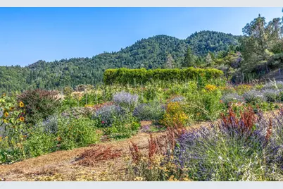 14507 Western Mine Road, Middletown, CA 95461 - Photo 59