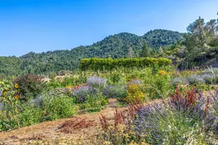 14507 Western Mine Rd, Middletown, CA 95461 - Photo 59