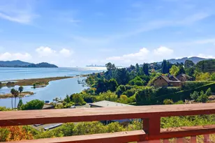305 Reed Blvd, Mill Valley, CA 94941 - Photo 49