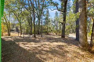 8320 Sulpher Creek Rd, Loch Lomond, CA 95461 - Photo 43