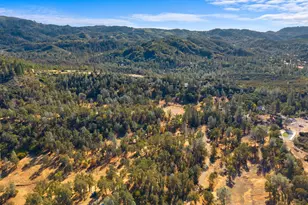 8320 Sulpher Creek Rd, Loch Lomond, CA 95461 - Photo 79