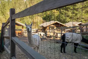 1300 Niestrath Rd, Cazadero, CA 95421 - Photo 45