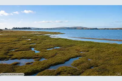 501 Smith Brothers Road, Bodega Bay, CA 94923 - Photo 25