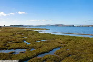 501 Smith Brothers Rd, Bodega Bay, CA 94923 - Photo 25