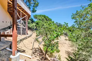 155 Dominican Dr, San Rafael, CA 94901 - Photo 43