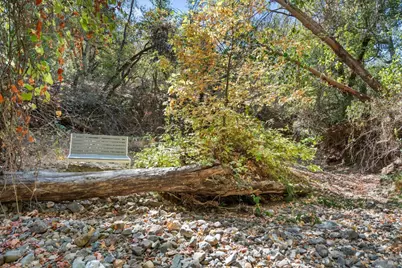 2441 Redemeyer Road, Ukiah, CA 95482 - Photo 37