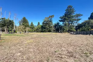 175 Horseshoe Hill Rd, Bolinas, CA 94924 - Photo 29