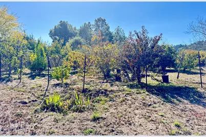 175 Horseshoe Hill Road, Bolinas, CA 94924 - Photo 21