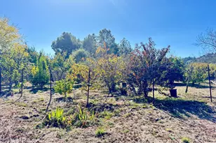 175 Horseshoe Hill Rd, Bolinas, CA 94924 - Photo 21