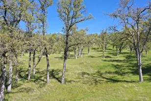 18300 Morgan Valley Rd, Lower Lake, CA 95457 - Photo 43