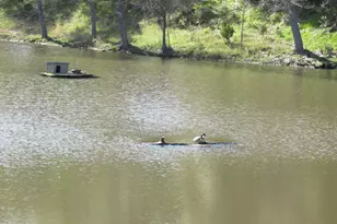 18300 Morgan Valley Rd, Lower Lake, CA 95457 - Photo 27