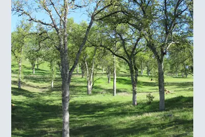 18300 Morgan Valley Road, Lower Lake, CA 95457 - Photo 31