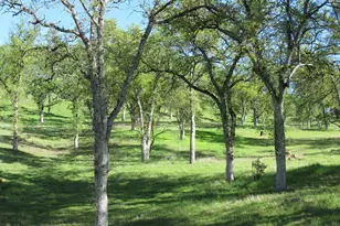 18300 Morgan Valley Rd, Lower Lake, CA 95457 - Photo 31