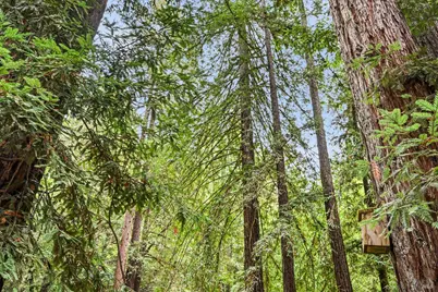 15343 Willow Road, Guerneville, CA 95446 - Photo 39