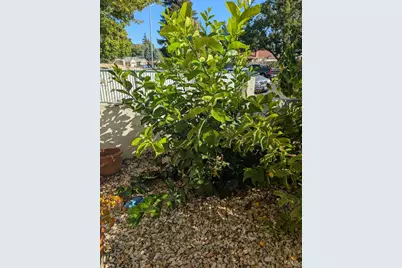 225 Woodhaven Drive, Vacaville, CA 95687 - Photo 37